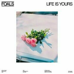 Crest Of The Wave by Foals