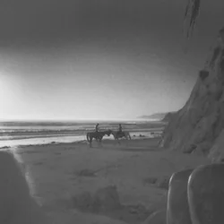 California by Fog Lake