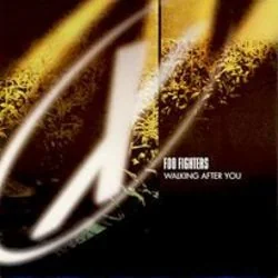 Walking After You Chords by Foo Fighters