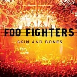 Live In Skin by Foo Fighters
