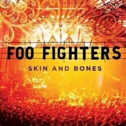 Live In Skin Tab by Foo Fighters