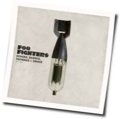 Tired Of You by Foo Fighters