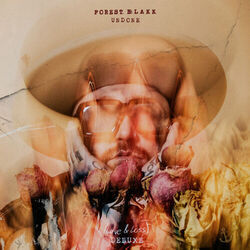 The Anchor And The Kite Chords by Forest Blakk