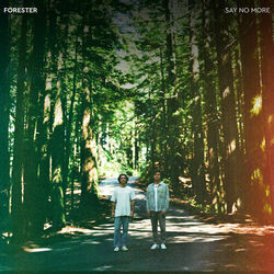 Say No More Chords by Forester