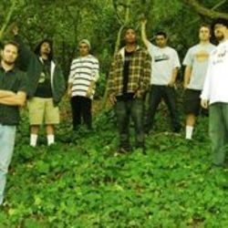 Reggae Radio Bass Tab by Fortunate Youth