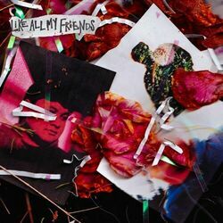 Like All My Friends Chords by Francis Karel