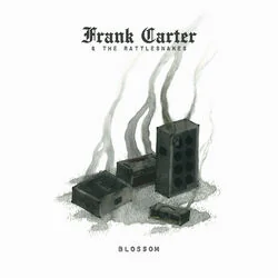 Heartbreaker Chords by Frank Carter & The Rattlesnakes