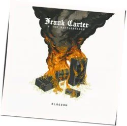I Hate You Chords by Frank Carter The Rattlesnakes