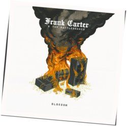 Frank Carter The Rattlesnakes tabs for I hate you