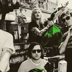 Bonehead Bass Tab by Frankie And The Witch Fingers