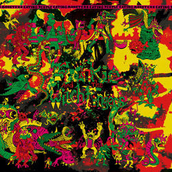 Can You Hear Me Now Bass Tab by Frankie And The Witch Fingers