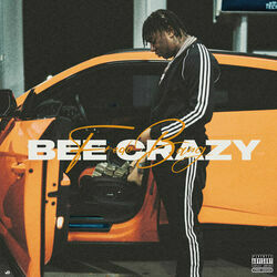 Bee Crazy Chords by Fredo Bang