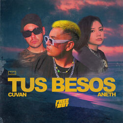 Tus Besos En Mi Cuarto Chords by Freebot