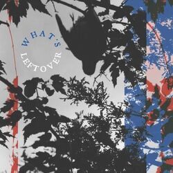 Whats Leftover Chords by Frown Line