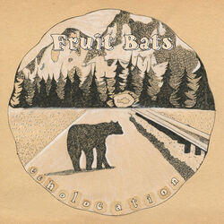 Buffalo And Deer Chords by Fruit Bats