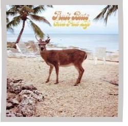 Drawn Away Chords by Fruit Bats