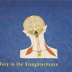 Hello And Goodbye by Fury In The Slaughterhouse