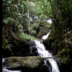 Kauai Beauty Chords by Gabby Pahinui