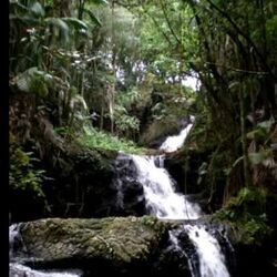 Kauai Beauty by Gabby Pahinui