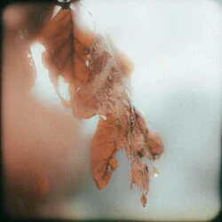 Hold Me Close Chords by Gabe Garreth