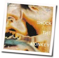 Shock The Monkey Chords by Peter Gabriel