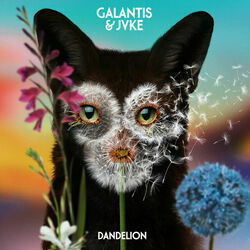 Dandelion by Galantis