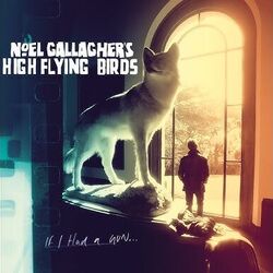 Id Pick You Every Time Chords by Noel Gallagher