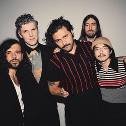 Tend The Garden Chords by Gang Of Youths