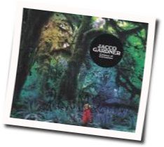 Brightly Chords by Jacco Gardner
