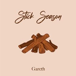 Stick Season Chords by Gareth Johnson