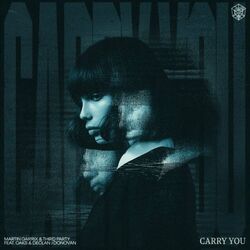 Carry You Chords by Martin Garrix