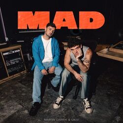 Mad Chords by Martin Garrix