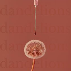 Dandelions Chords by Garvan Lambert