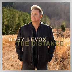 The Distance by Gary Levox