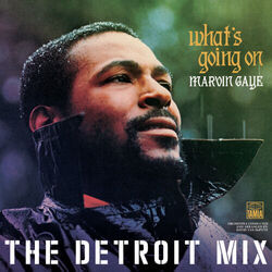 Flyin High In The Friendly Sky Bass Tab by Marvin Gaye