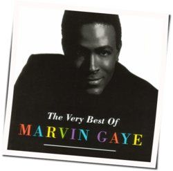 Sexual Healing by Marvin Gaye