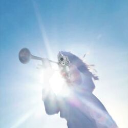 Au Pays Du Cocaine Chords by Geese