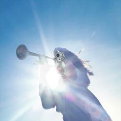 Cobra Intro by Geese