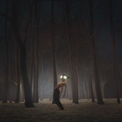 First World Warrior Bass Tab by Geese