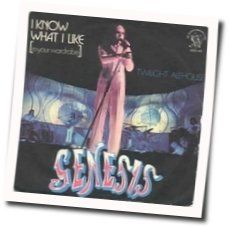 I Know What I Like by Genesis