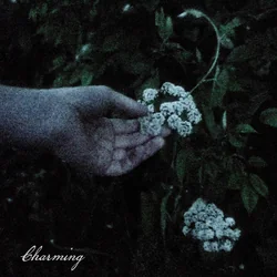 Charming by Genevieve Stokes