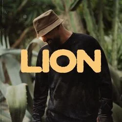 Lion Chords by Gentleman