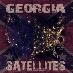 Don't Pass Me By by The Georgia Satellites