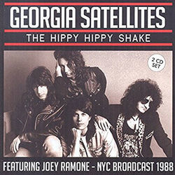 Hippy Hippy Shake by The Georgia Satellites