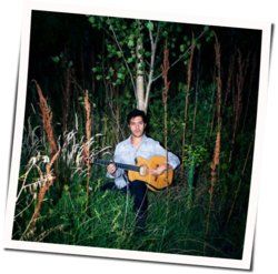 Las Flores Chords by Gepe