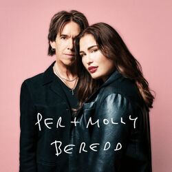 Beredd Chords by Per Gessle