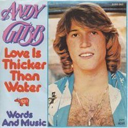 Words And Music Chords by Andy Gibb