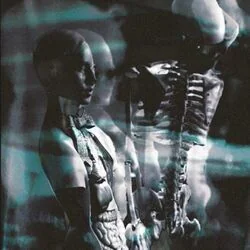 Trepanation Bass Tab by Giftless