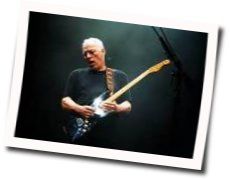 Shine On You Crazy Diamond Acoustic by David Gilmour