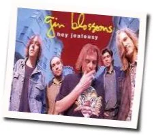 As Long As It Matters Tab by Gin Blossoms